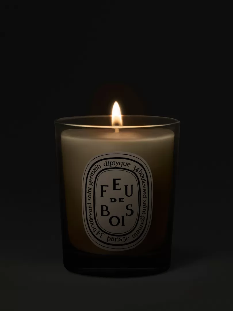 Diptyque Feu de Bois (Wood Fire) Small Candle- See All | Small Candles